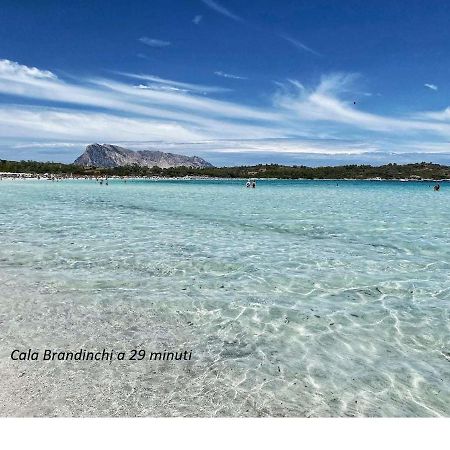 Appartamento Corallo With Private Garden Olbia Dış mekan fotoğraf